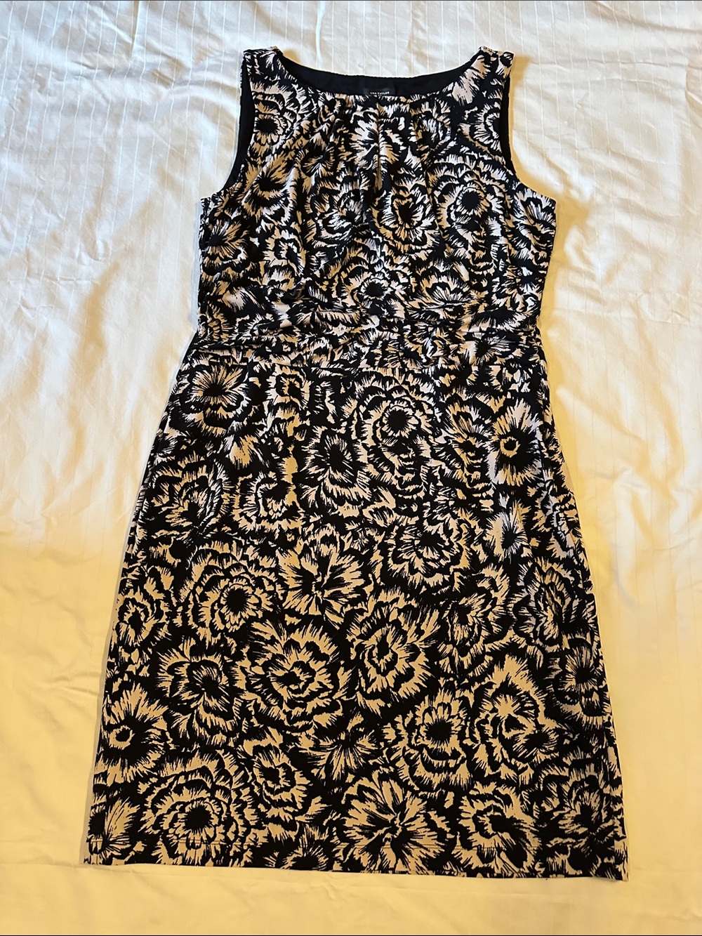 Ann Taylor Black and Cream Floral Midi Dress